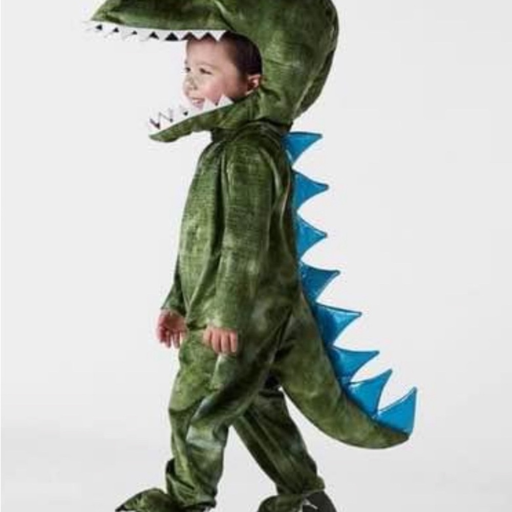 Pottery Barn Dino Dressup Costume